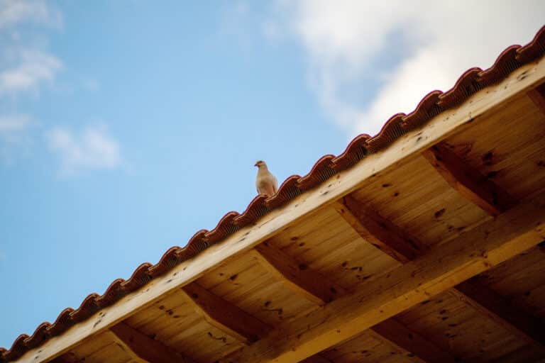 FAQ Couvreur à Dunkerque